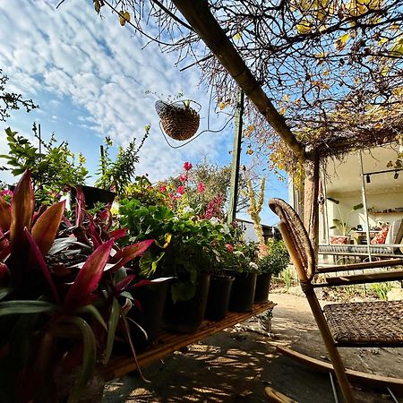 בקתות האס ואטינגר Villa Geva Carmel Bagian luar foto