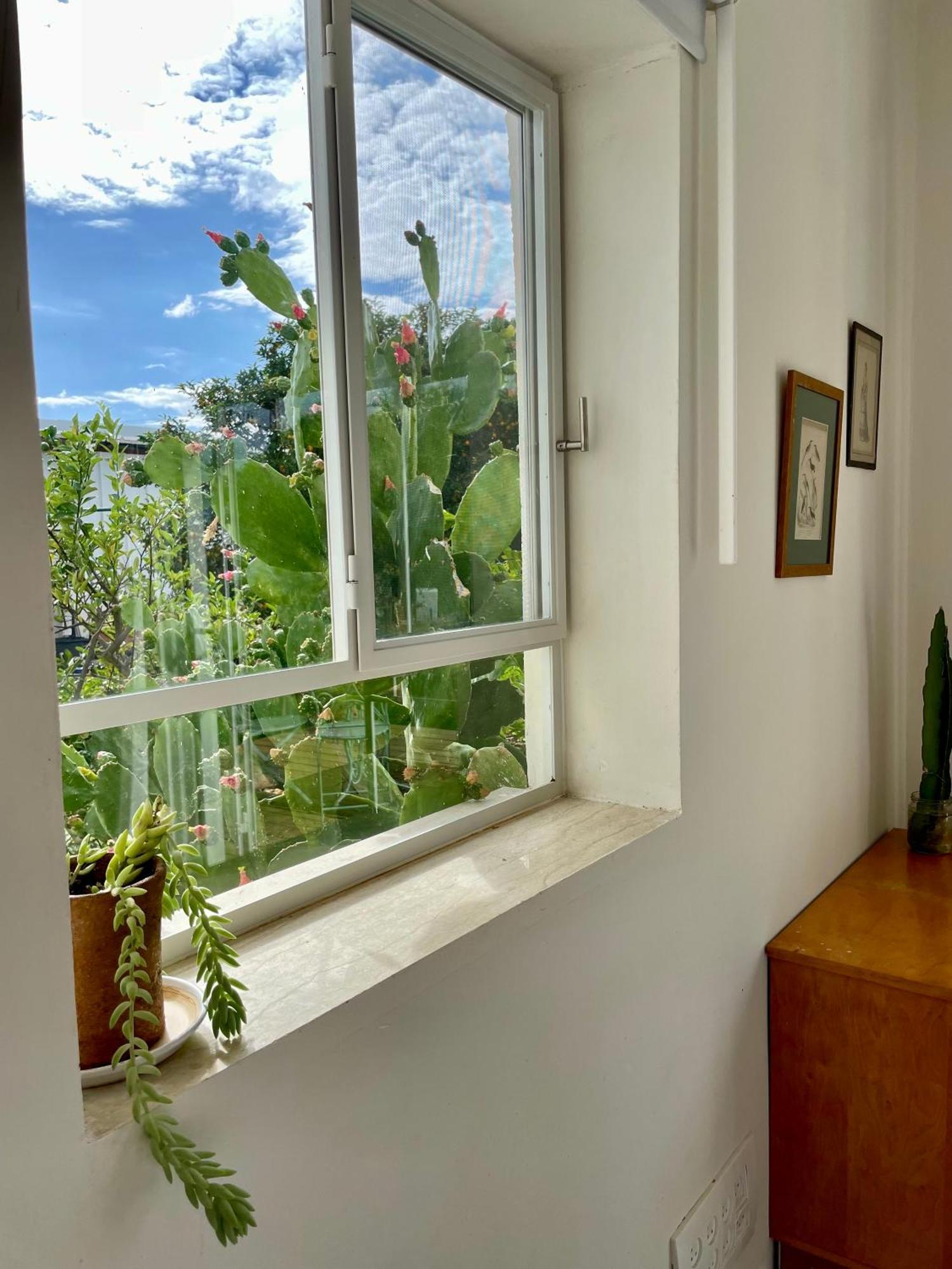בקתות האס ואטינגר Villa Geva Carmel Bagian luar foto